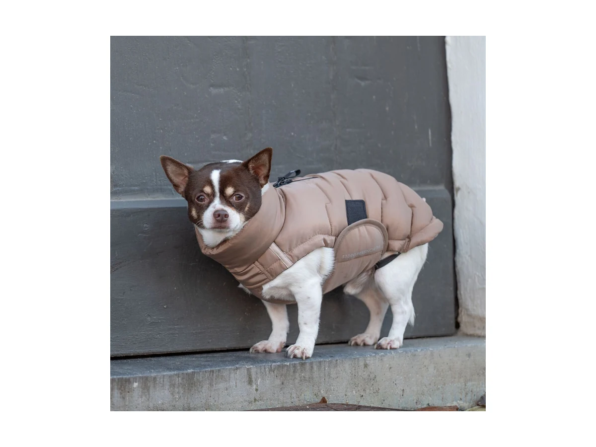 51 Degrees North Edge Vinterjacka till Hund, Beige, storlek 24cm