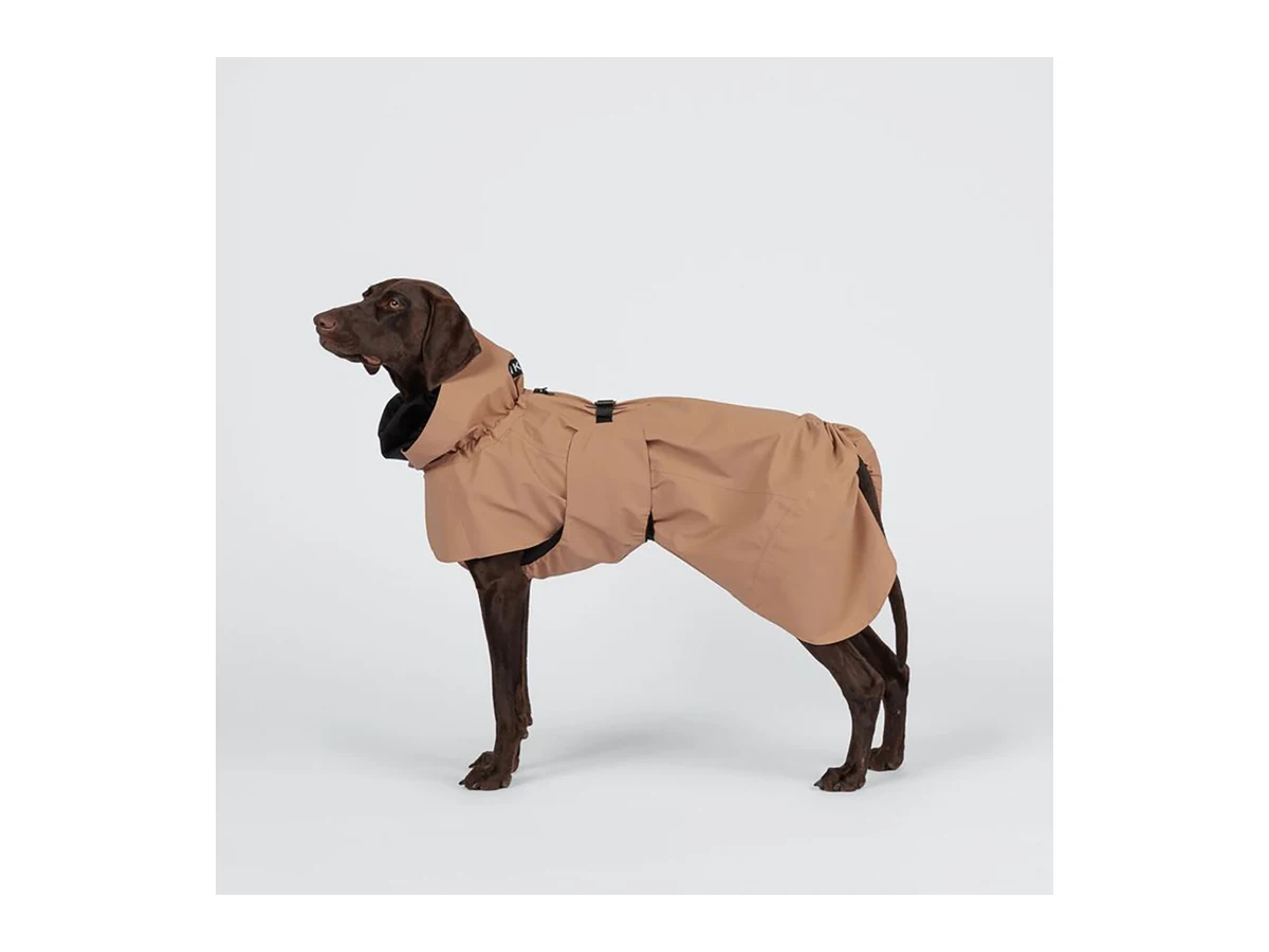 PAIKKA Visibility Regnjacka till Hund